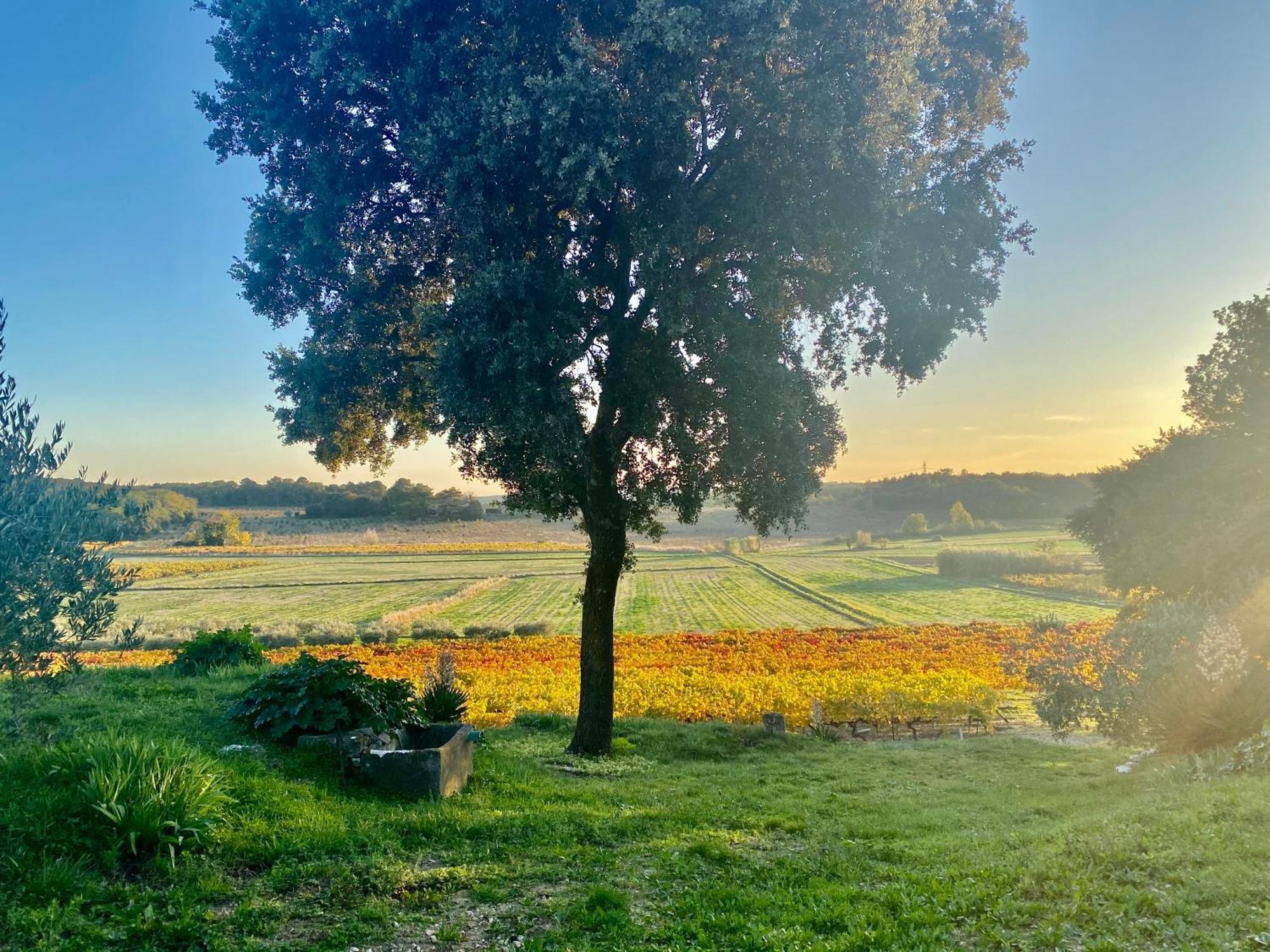 Bed and Breakfast Domaine Du Commandeur Mondragon Exterior foto